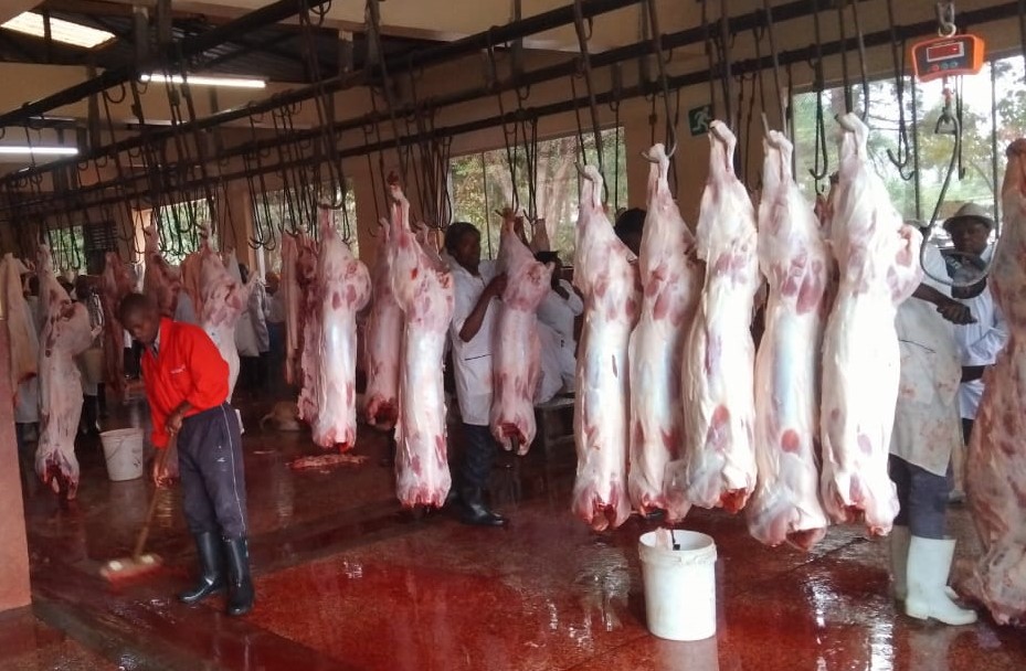 Processing operations