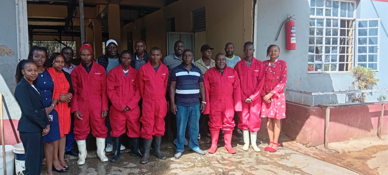 Cleaning and maintenance team